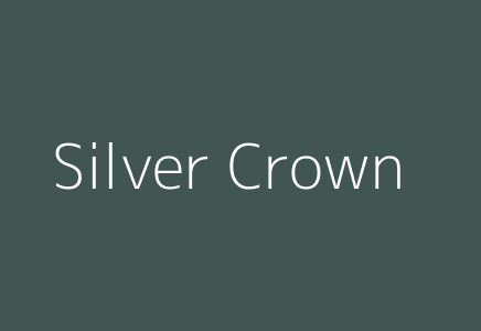 Silver Crown